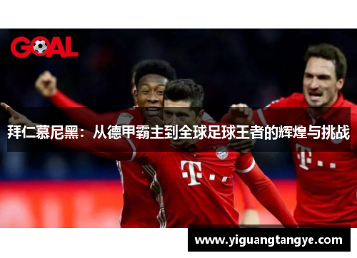 拜仁慕尼黑：从德甲霸主到全球足球王者的辉煌与挑战
