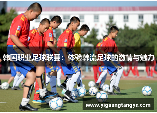 韩国职业足球联赛：体验韩流足球的激情与魅力