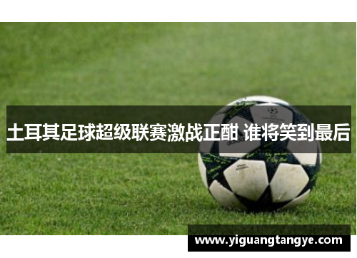 土耳其足球超级联赛激战正酣 谁将笑到最后