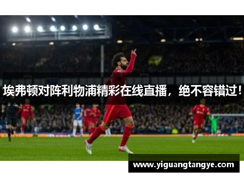 埃弗顿对阵利物浦精彩在线直播，绝不容错过！