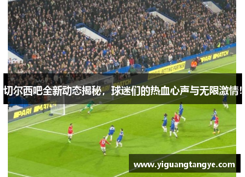 切尔西吧全新动态揭秘，球迷们的热血心声与无限激情！